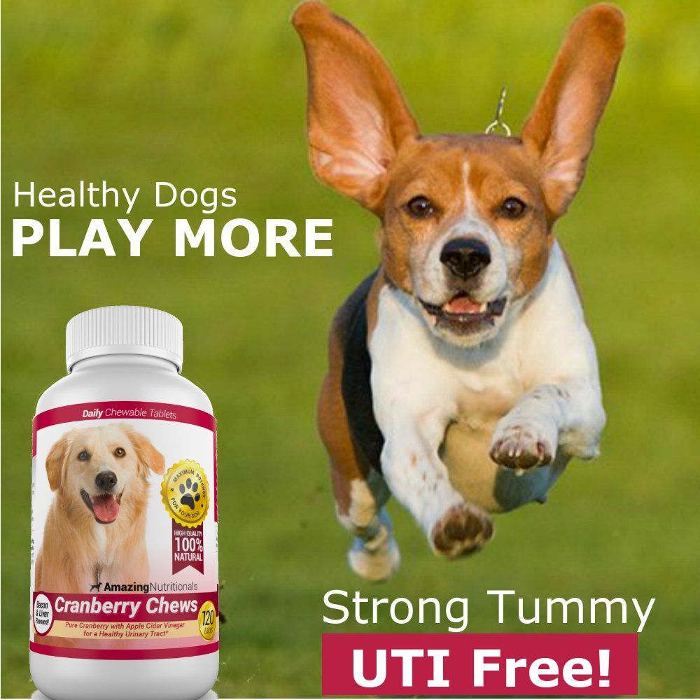 120 Cranberry Chews with Apple Cider Vinegar Bacon Flavor Dog Supplement K3953