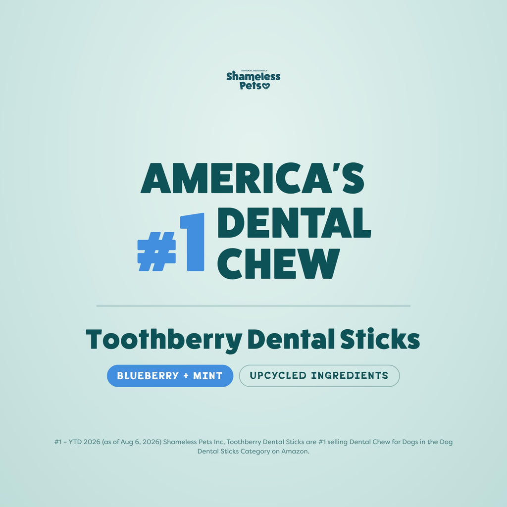 Blueberry & Mint Dental Chews for Dogs, 8 Chews T7778