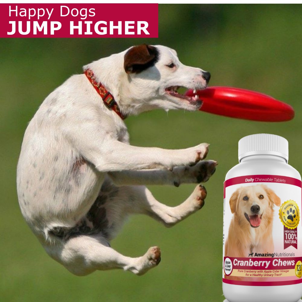 120 Cranberry Chews with Apple Cider Vinegar Bacon Flavor Dog Supplement K3953