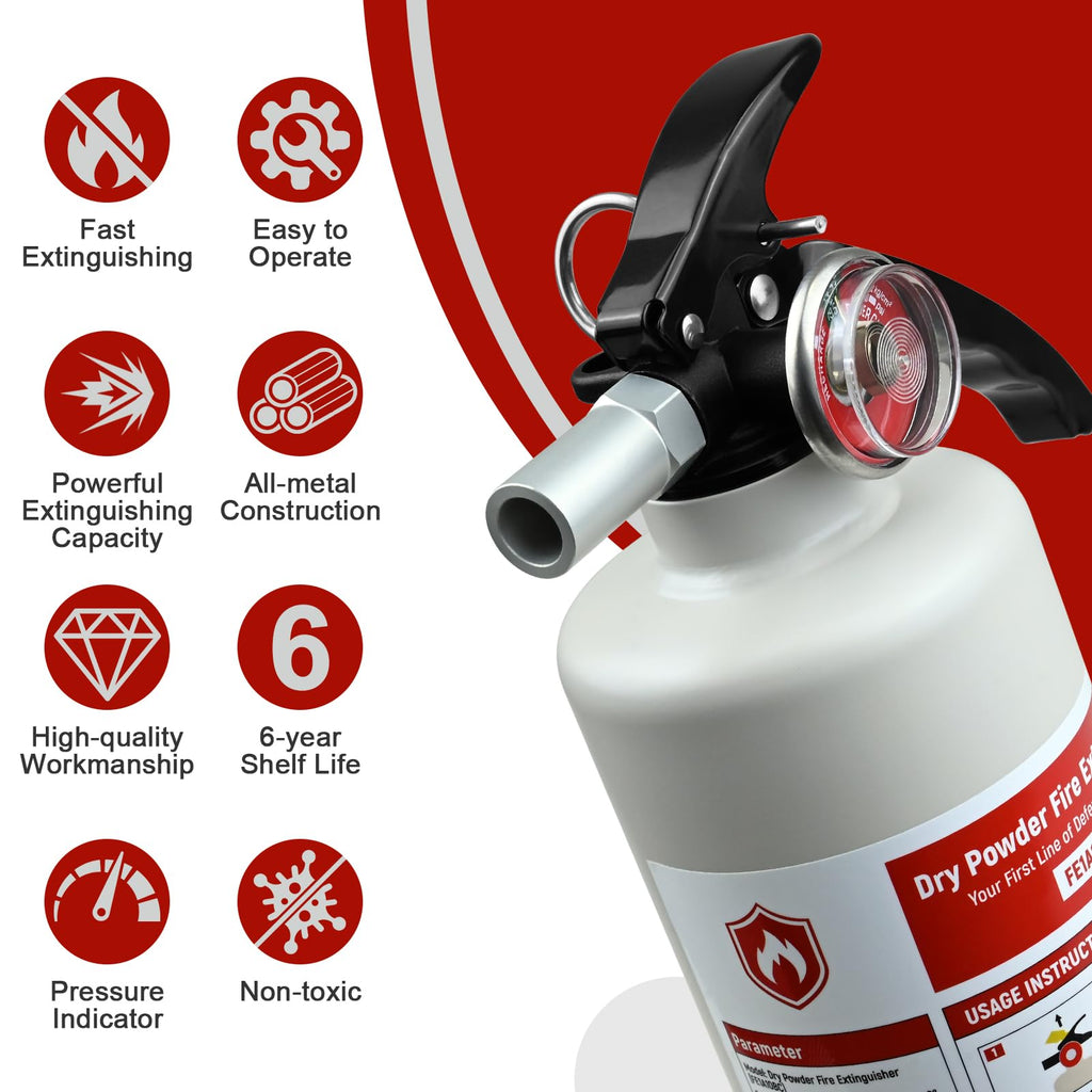 2.5 lb ABC Dry Chemical Fire Extinguisher V6244