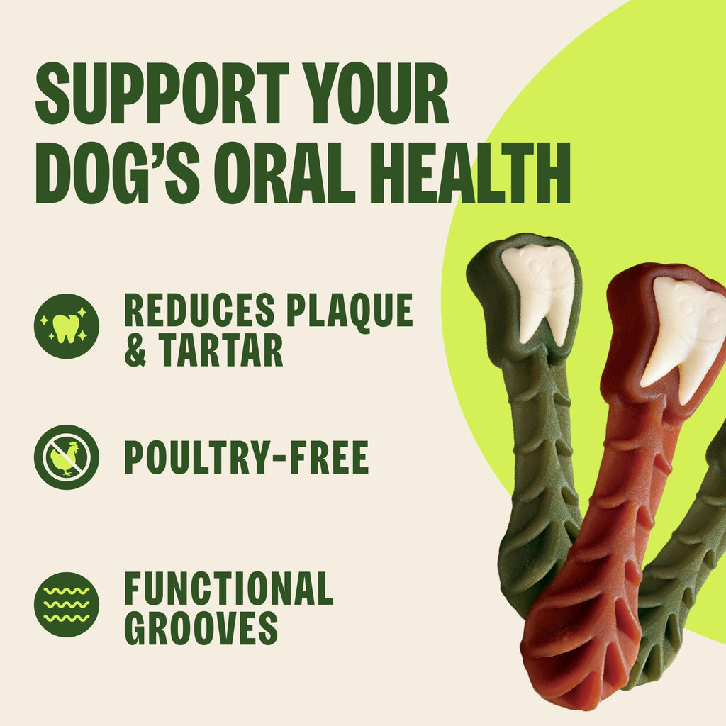 Natural Dog Dental Treat 12.7 oz 48 Count V2372