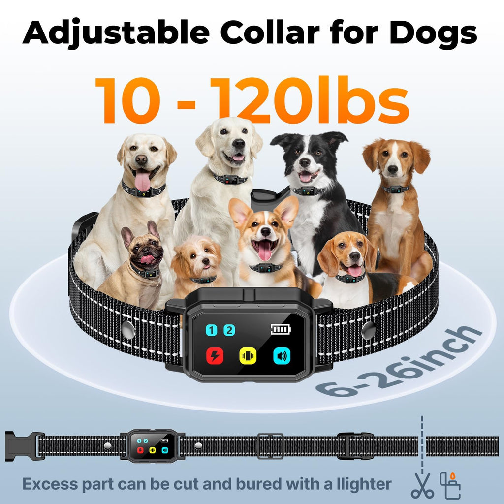 Dog Training Collar with Remote J865356