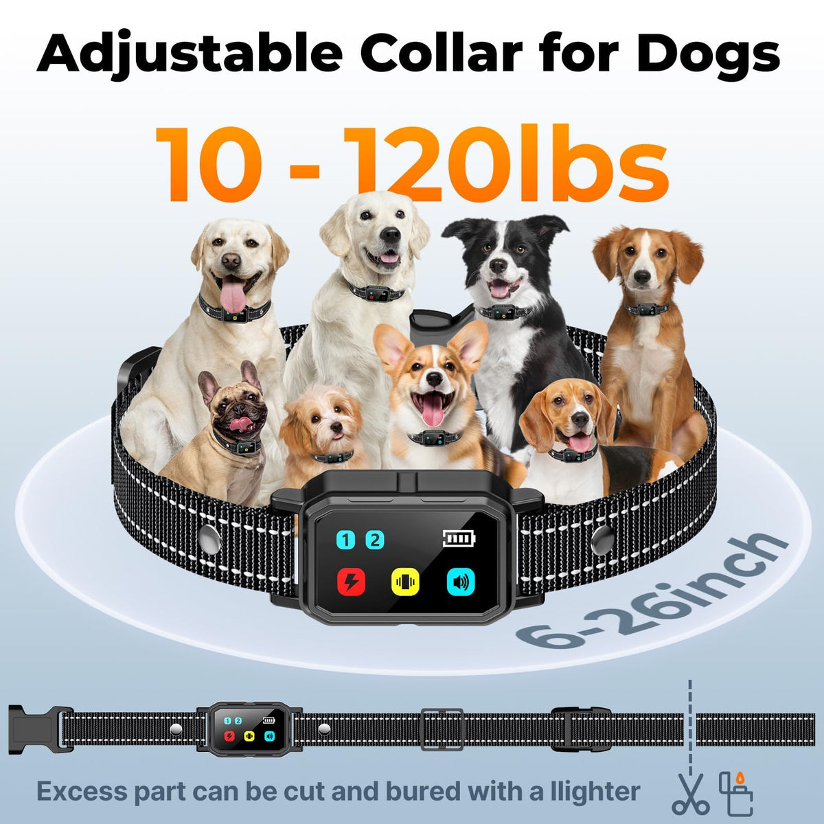 Dog Training Collar with Remote J865356