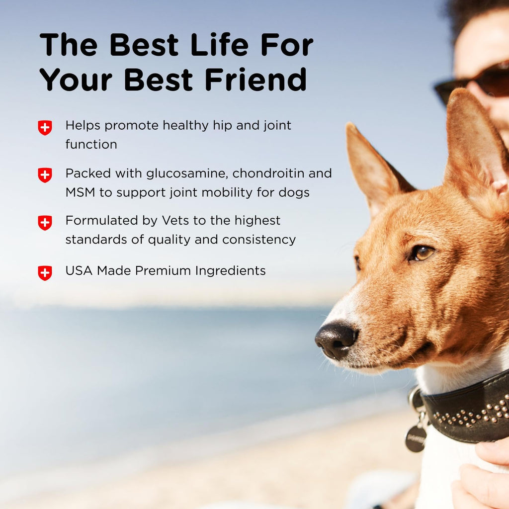 Glucosamine Chondroitin Dog Supplement 150 Ct Z5229