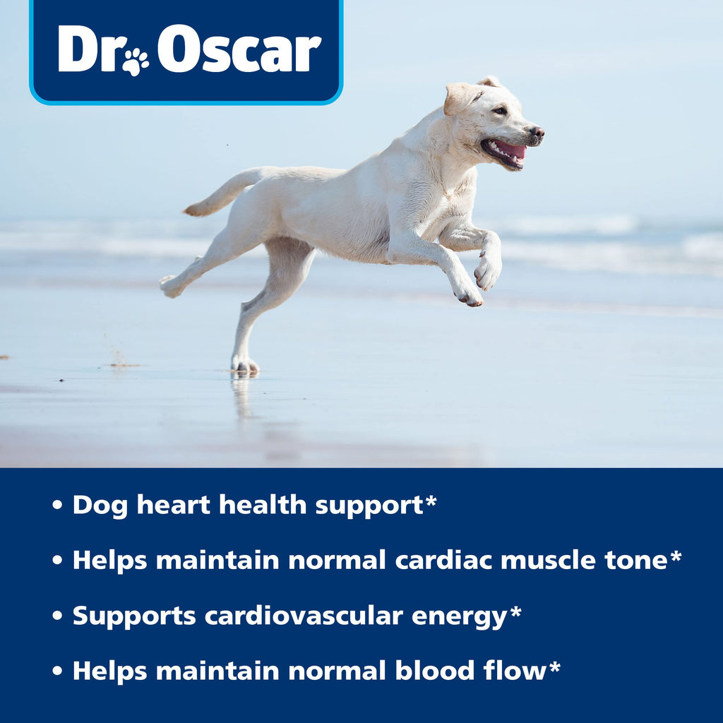 Taurine Supplement for Dogs 120ct W24358
