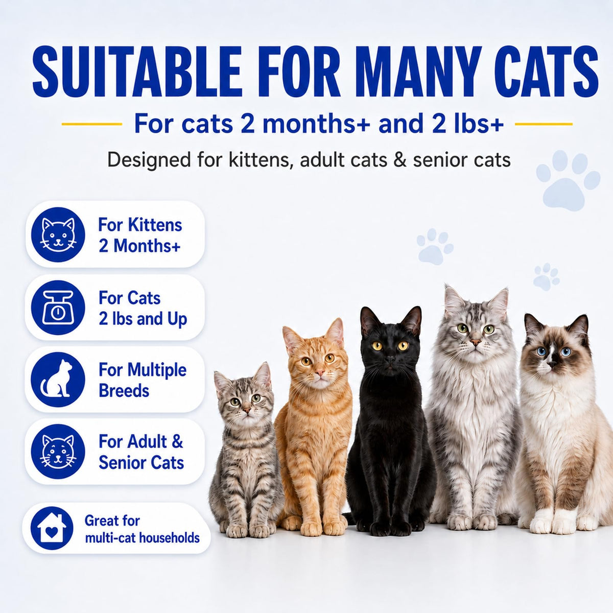 Cat Dewormer Tablets for Tapeworms, Roundworms and Hookworms P1597