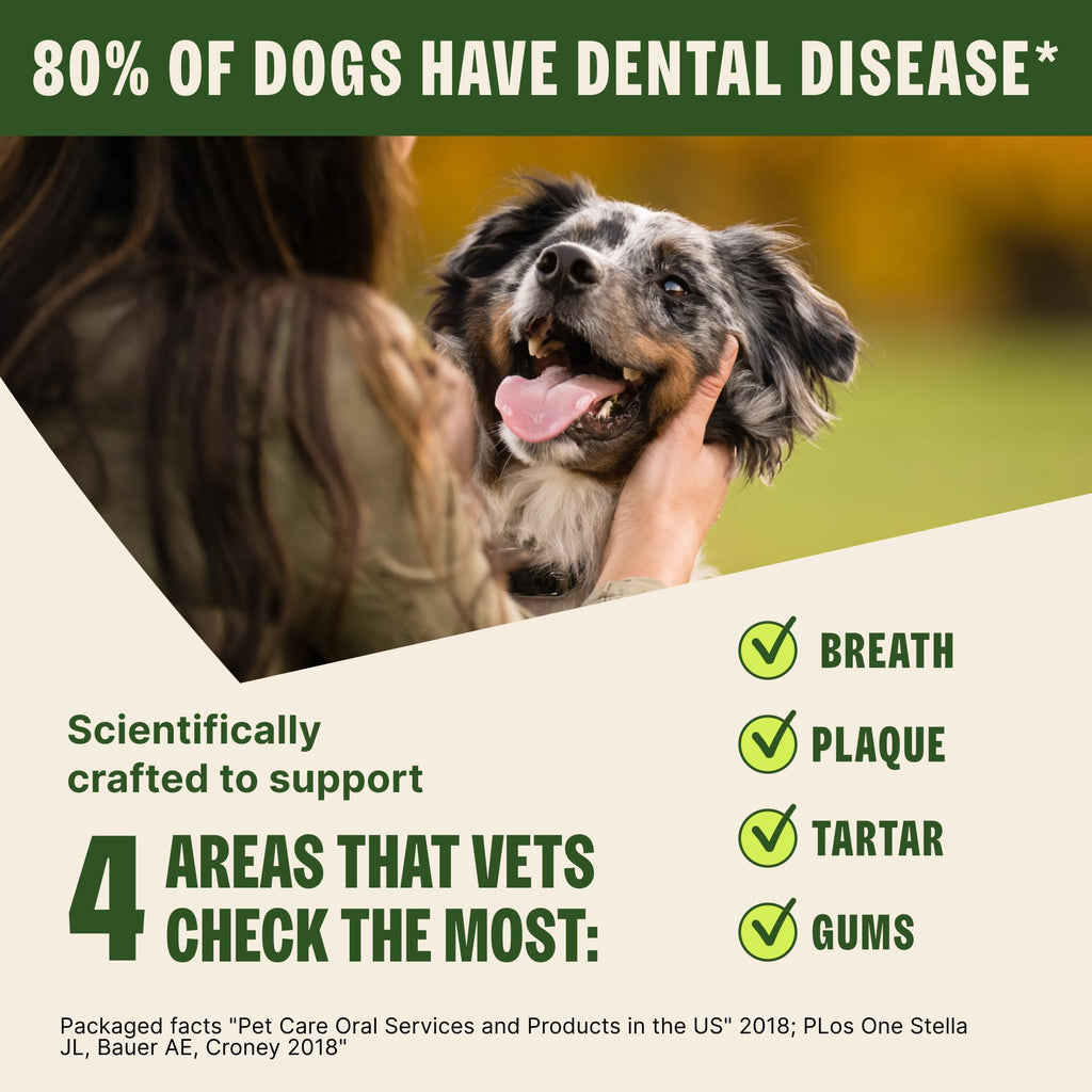 Natural Dog Dental Treat 12.7 oz 48 Count V2372