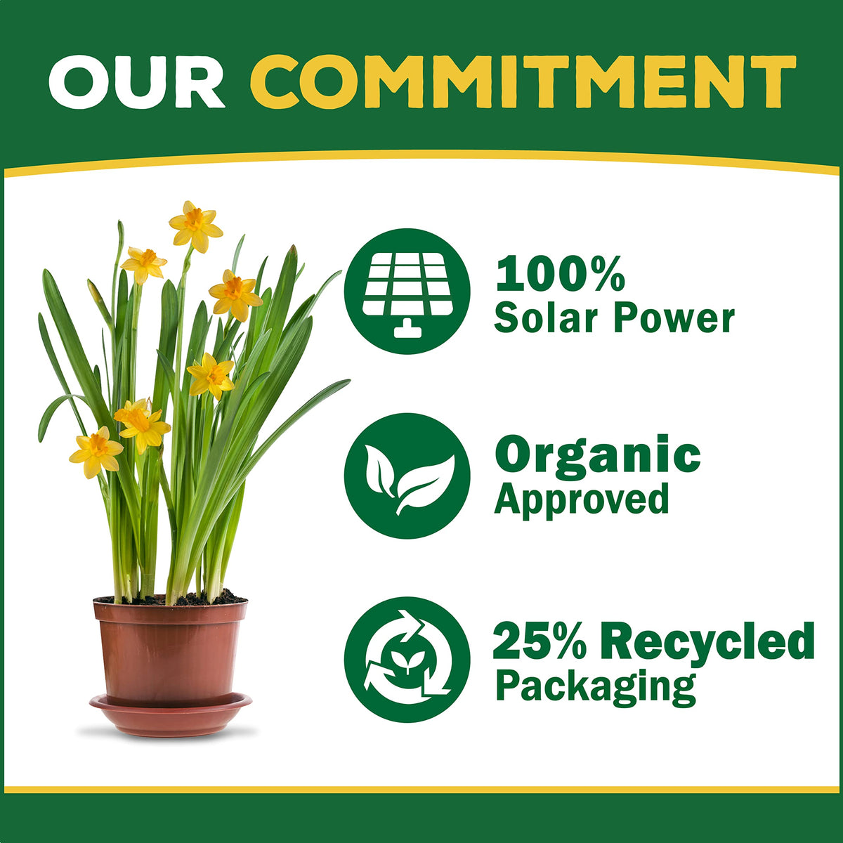 Organic Liquid Concentrate Plant Food 16oz B723738
