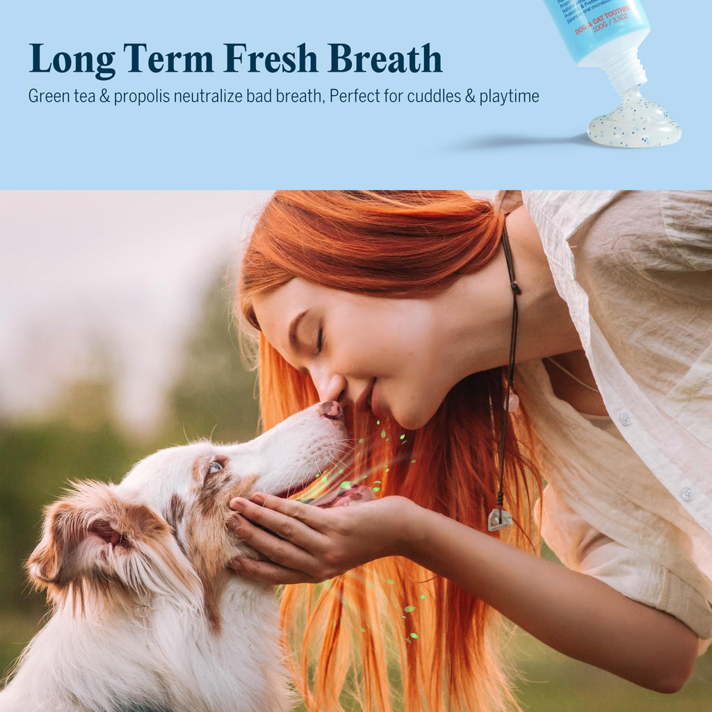 Dog Tooth Brushing Kit with 360° Toothbrush & Silicone Finger Brush L6881