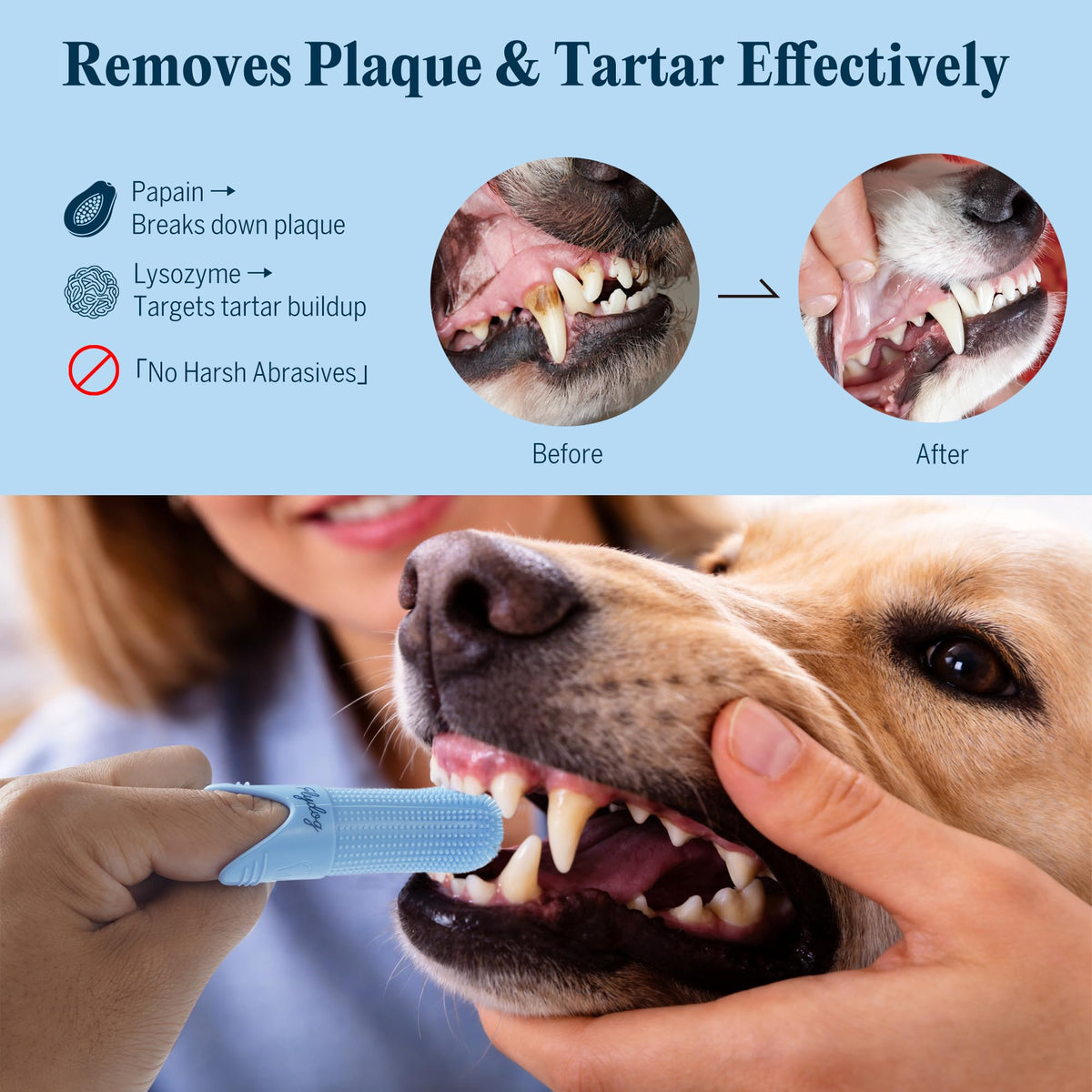 Dog Tooth Brushing Kit with 360° Toothbrush & Silicone Finger Brush L6881