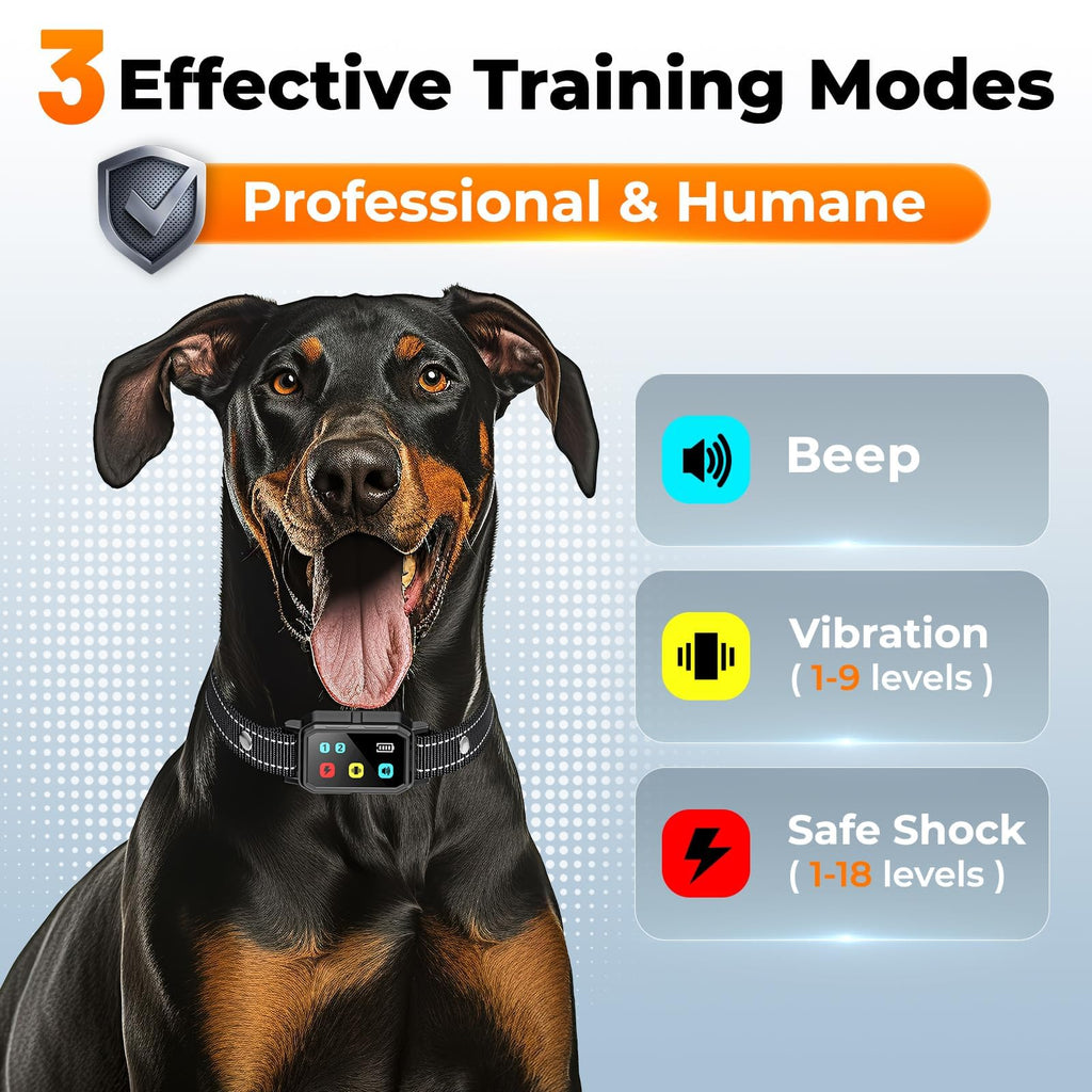 Dog Training Collar with Remote J865356