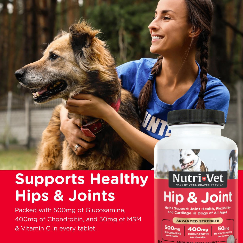 Glucosamine Chondroitin Dog Supplement 150 Ct Z5229