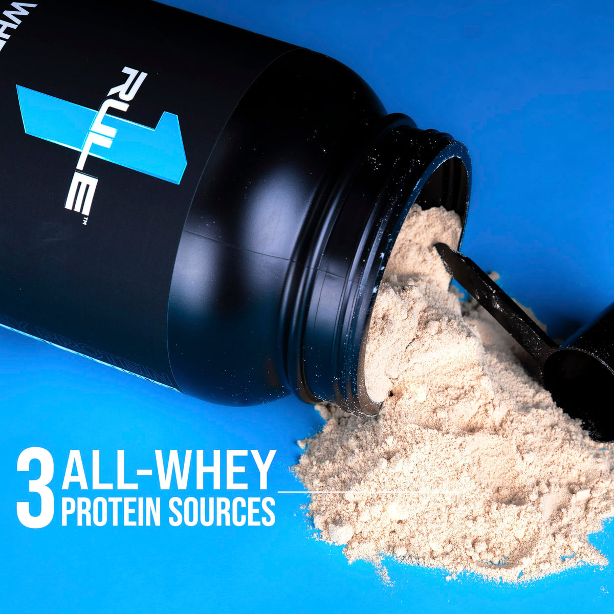 Whey Protein Powder Chocolate Fudge 65 Servings C312781