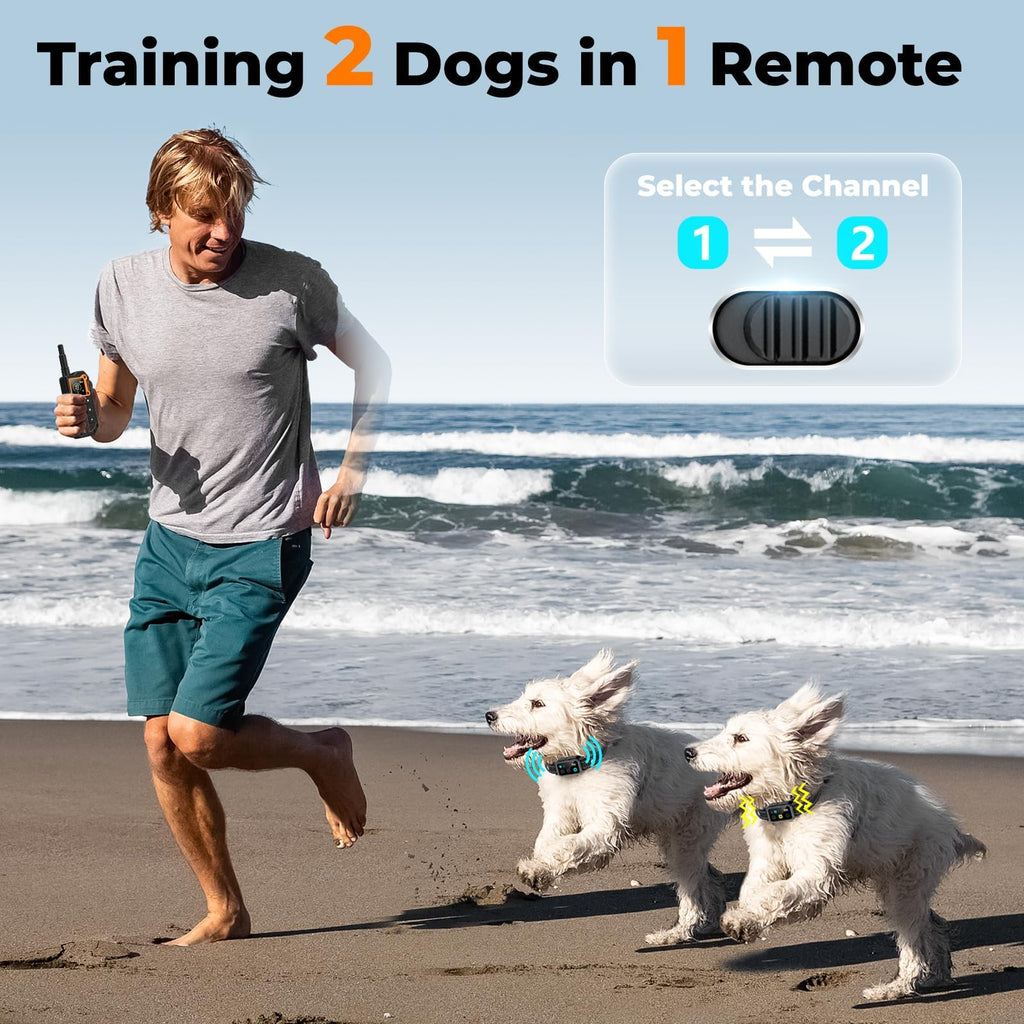 Dog Training Collar with Remote J865356
