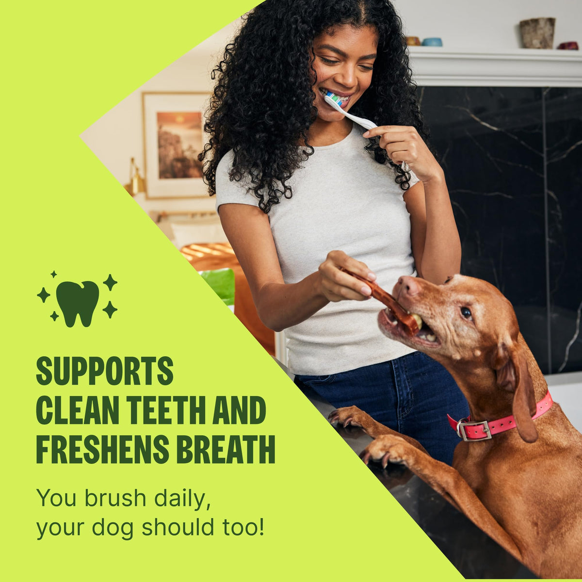 Natural Dog Dental Treat 12.7 oz 48 Count V2372