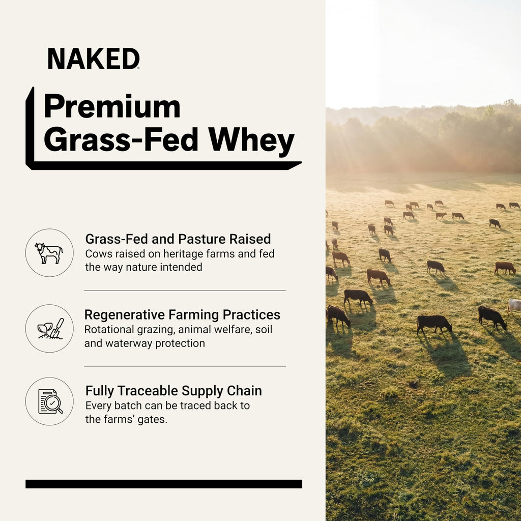 Chocolate Grass Fed Whey Protein Powder N49982
