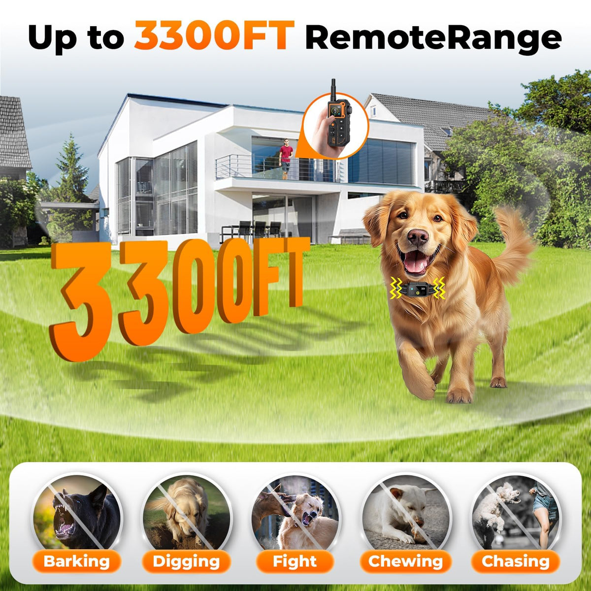 Dog Training Collar with Remote J865356