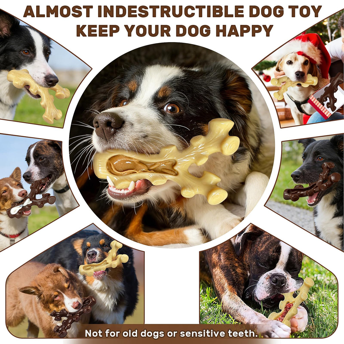 2 Pack Dog Chew Toys for Medium Large Breed F838
