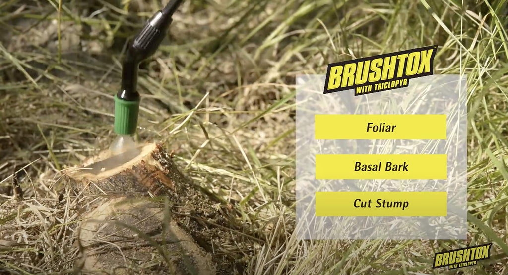 64oz Brush Killer with Triclopyr I61952