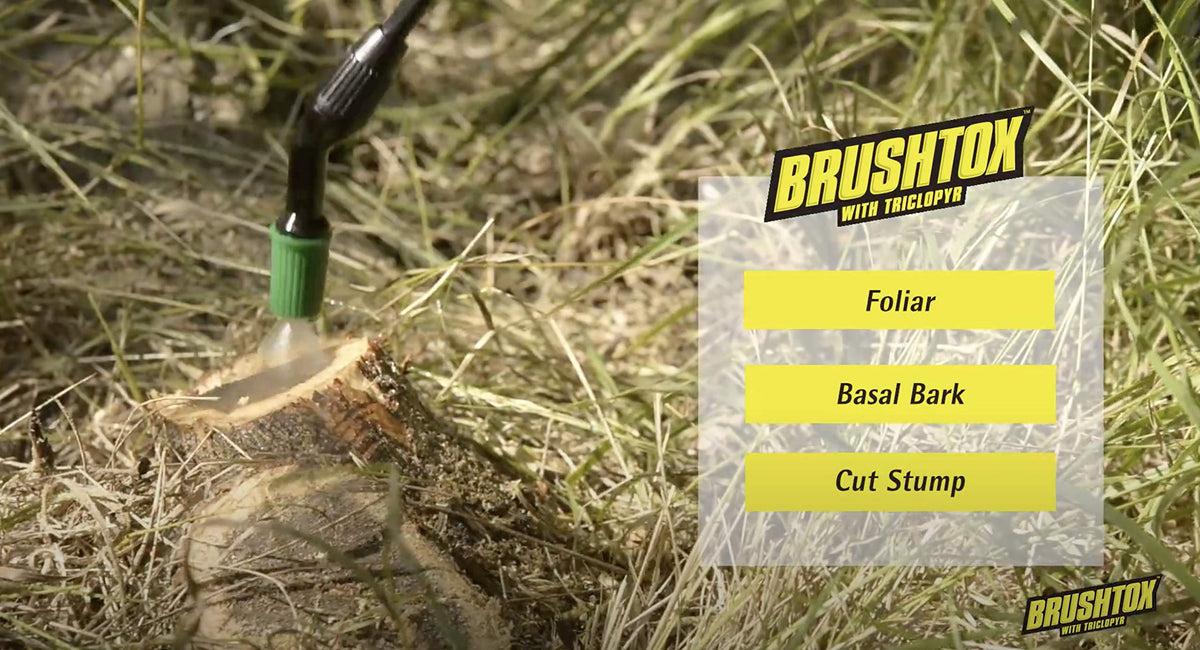 64oz Brush Killer with Triclopyr I61952