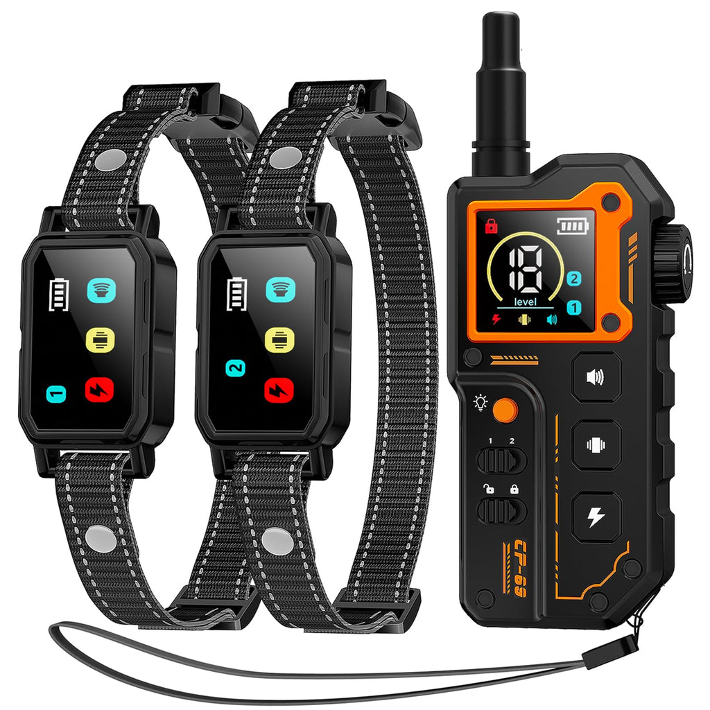 Dog Training Collar with Remote J865356