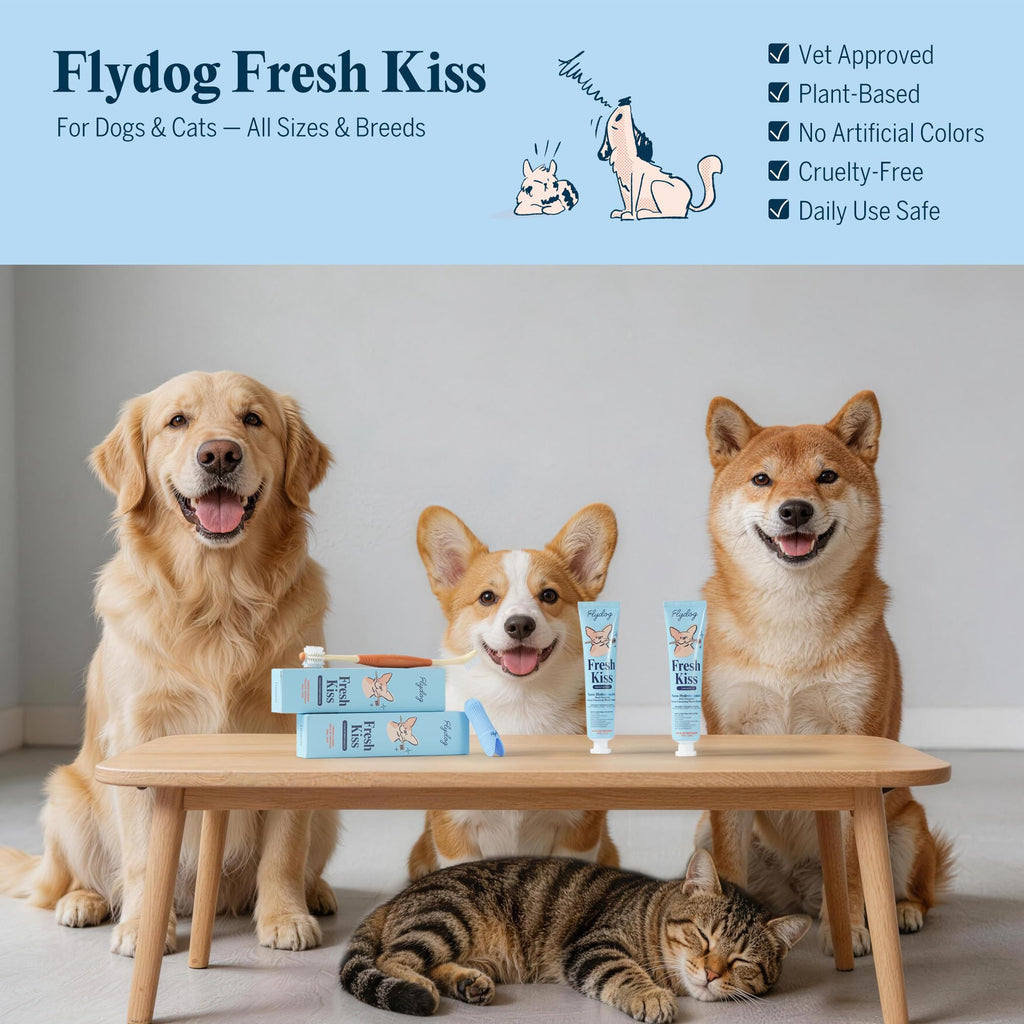 Dog Tooth Brushing Kit with 360° Toothbrush & Silicone Finger Brush L6881