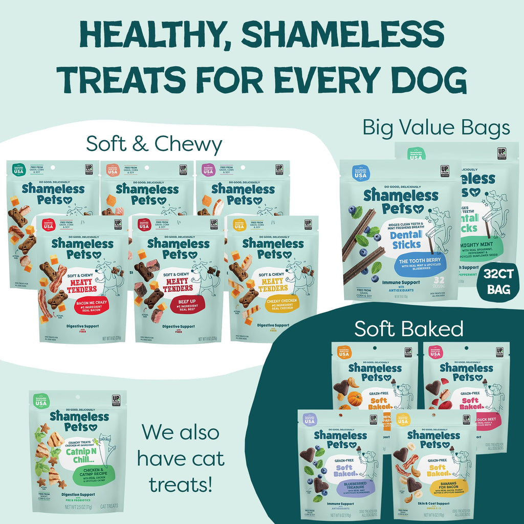 Blueberry & Mint Dental Chews for Dogs, 8 Chews T7778