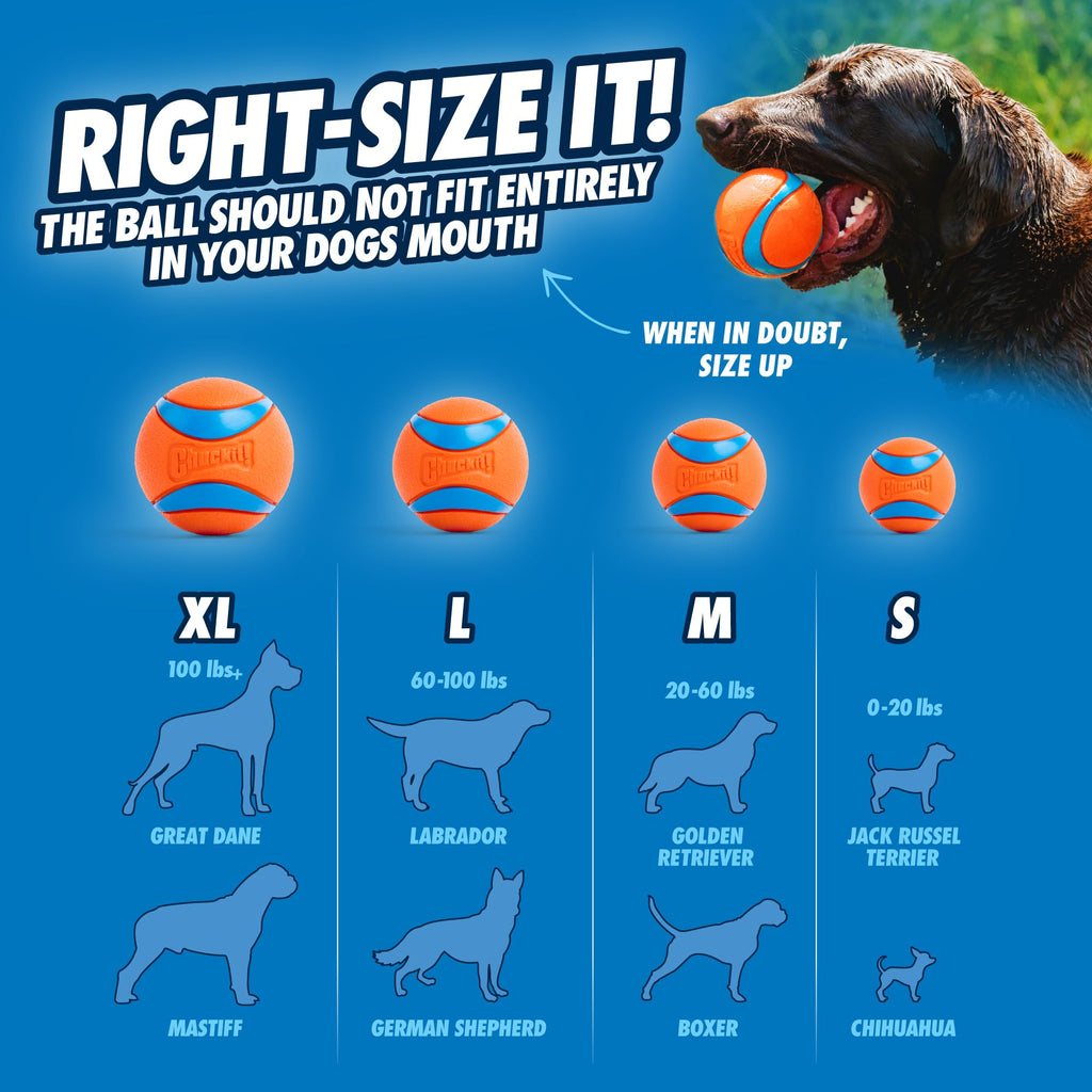 Dog Balls Set of 3 O1745
