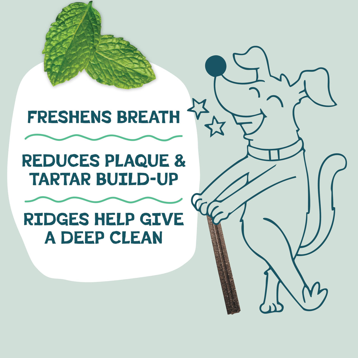 Blueberry & Mint Dental Chews for Dogs, 8 Chews T7778