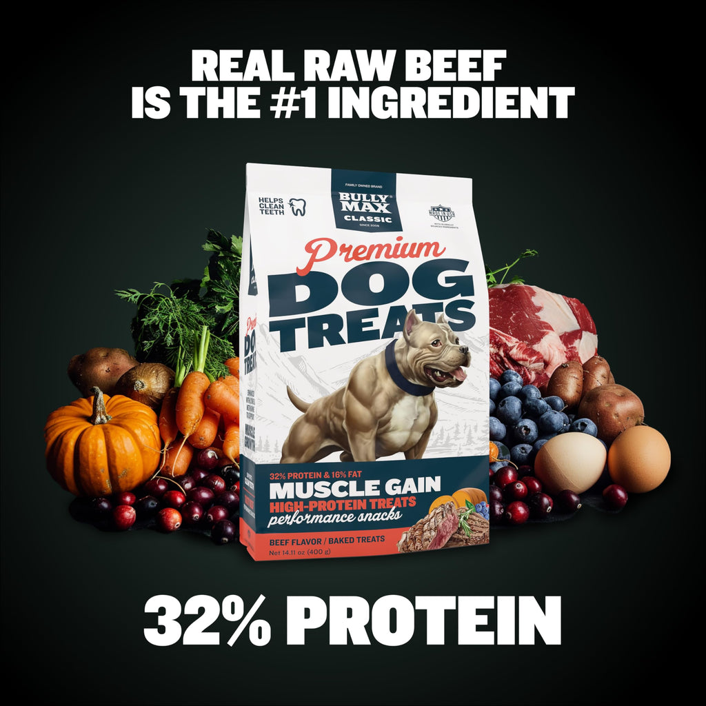 60ct Dog Treats with Vitamins Q531