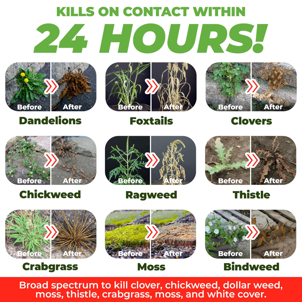 Organic Vinegar Weed Killer Spray Ready Herbicide 1 Gallon G1982