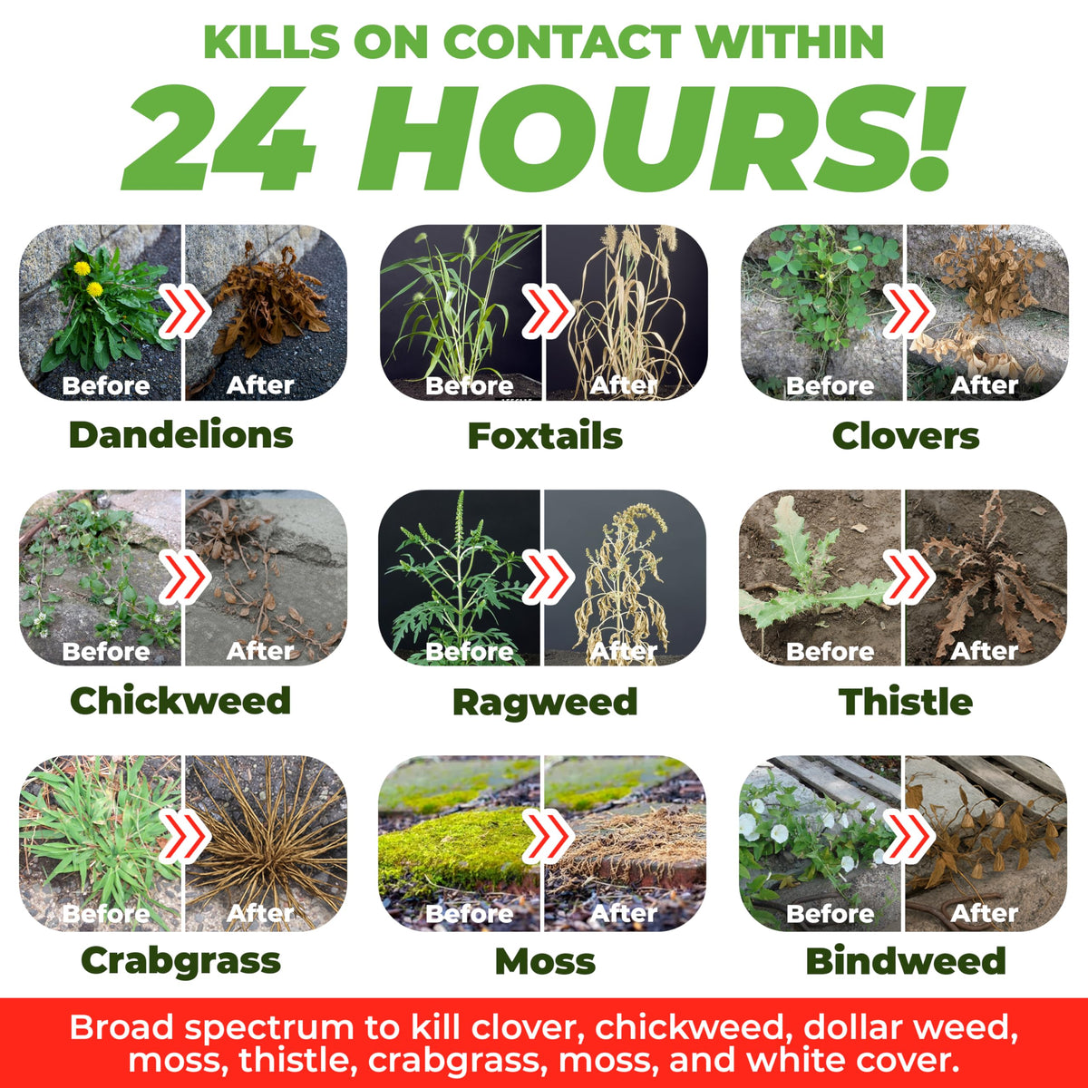 Organic Vinegar Weed Killer Spray Ready Herbicide 1 Gallon G1982
